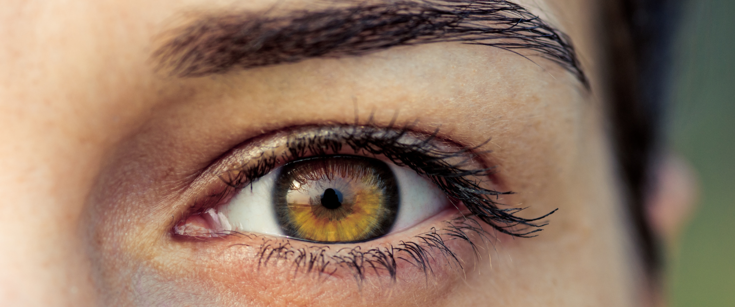 EMDR ONLINE