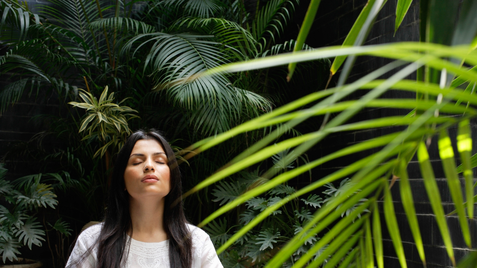 PTSD treatment Newcastle