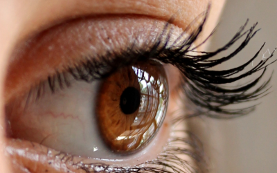 Self-Administered EMDR: A Coaching Package